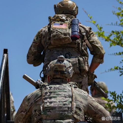 海豹突击队第六分队_海豹突击队最强分队_突击分队海豹队队长是谁