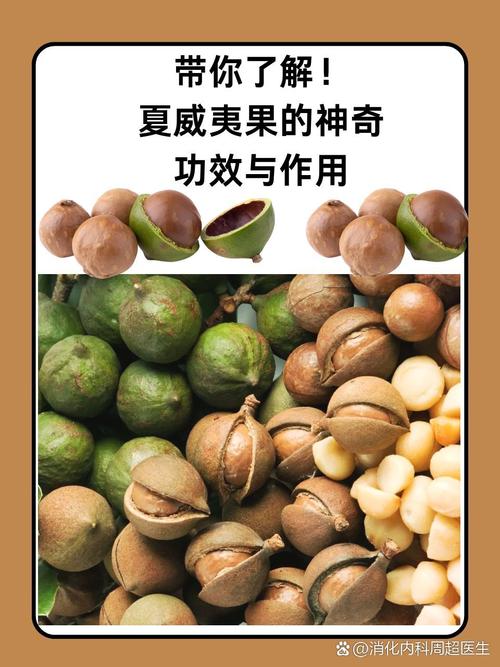 果实网_果实网站_果实网中小学继续教育培训入口