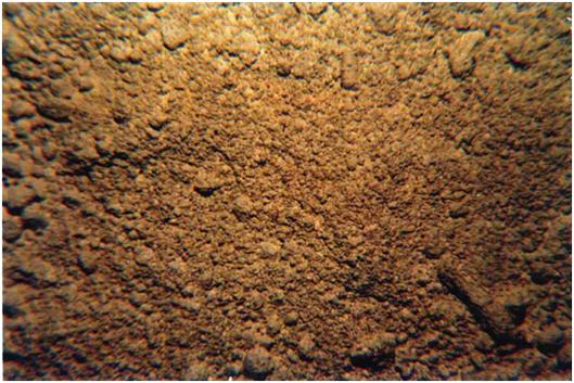 寻仙炼丹_寻仙仙丹_寻仙铅丹