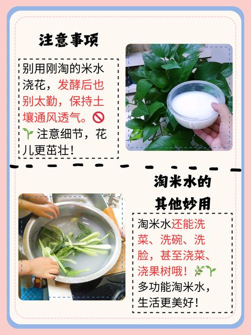 淘米游戏账号中心_淘米游戏_淘米游戏充值中心