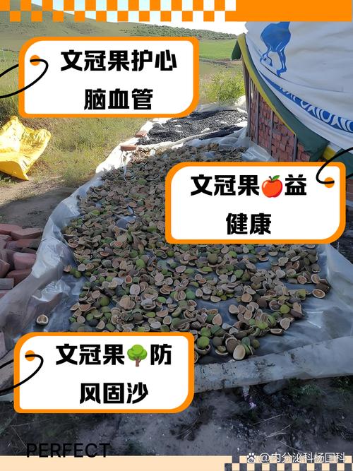 果实网怎么样？功能优势大揭秘，用过的人都说好