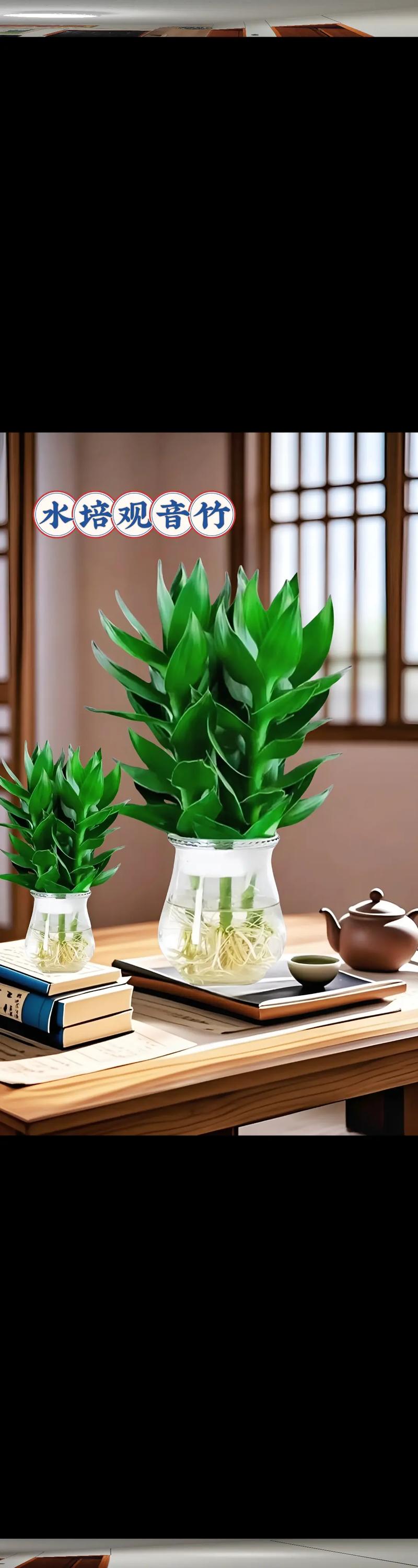 会动的桌面_会动的桌面怎么弄_桌面会动软件叫什么