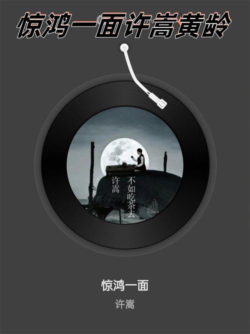 惊鸿面唯独盛世颜_惊鸿面是哪首歌里的歌词_惊鸿一面mv