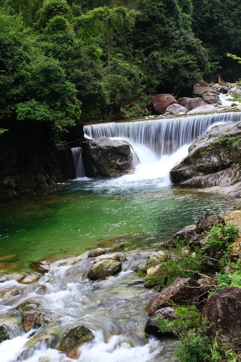 漓江发源地猫儿山 探秘广西第一峰的水源
