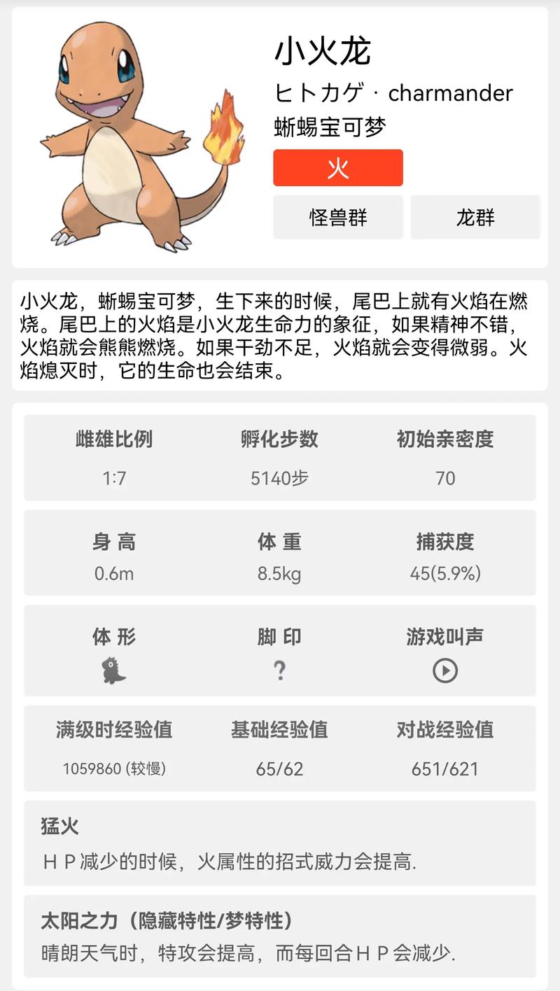 新手养精灵龙宝宝注意三点，前三个月不踩坑