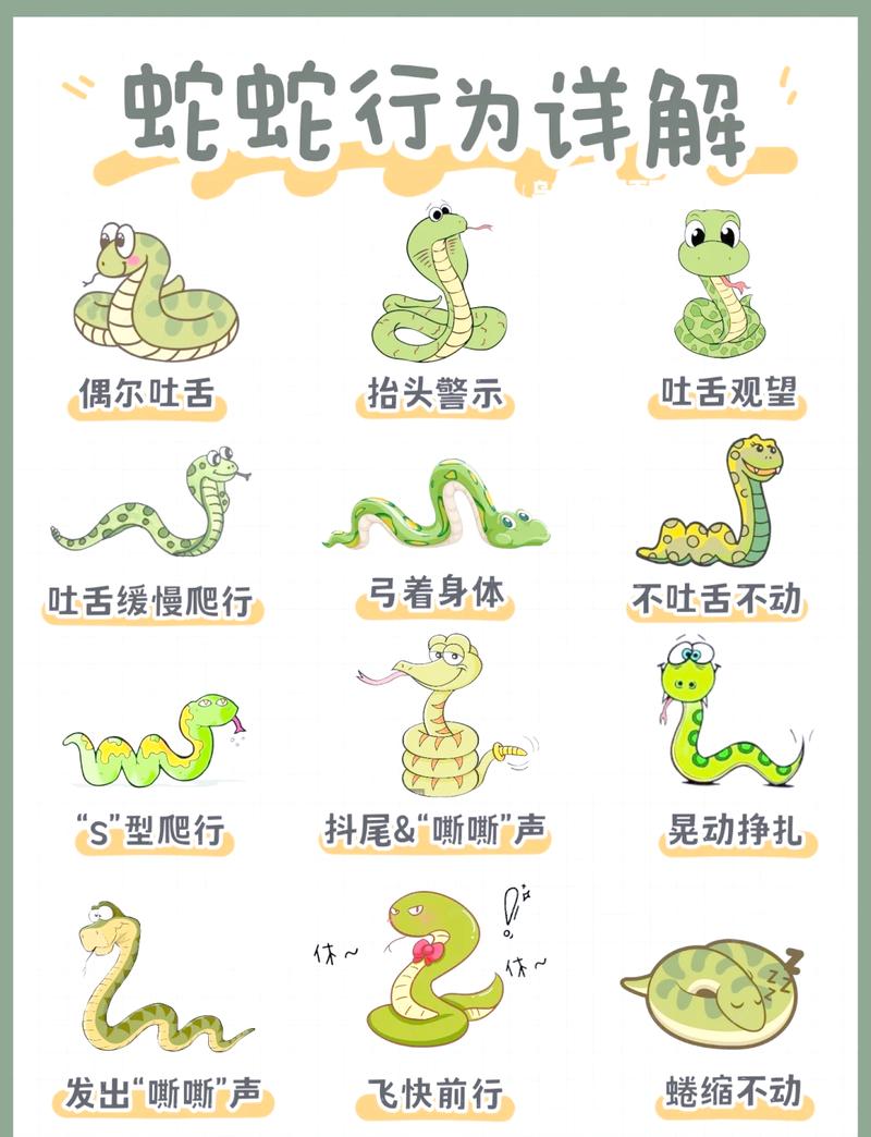 毒蛇风暴_风暴毒蛇任务戒指_风暴毒蛇攻略