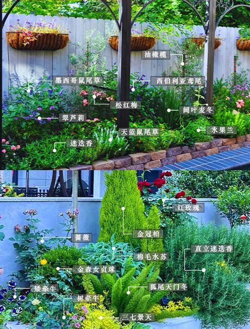 灌木种类_灌木种类名称大全_灌木种类大全图片