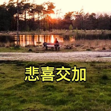 我要写情感另类怎么写视频_猫扑另类情感_猫扑另类情感小说