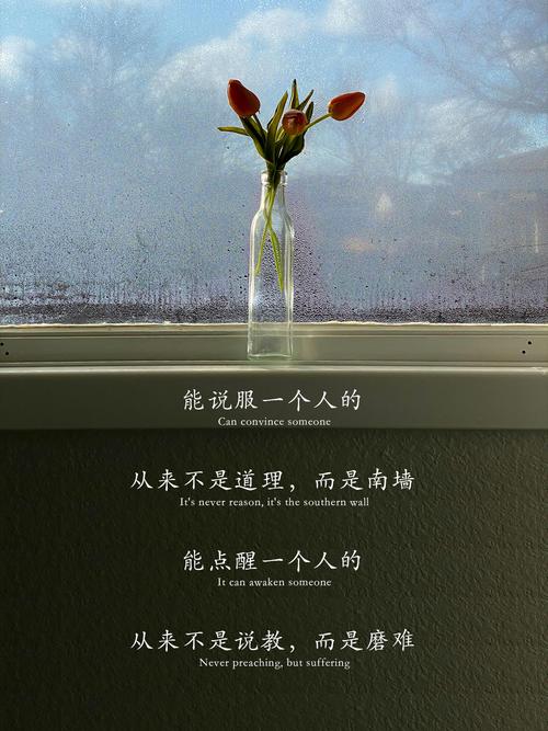 天城泪_天城泪_天城泪