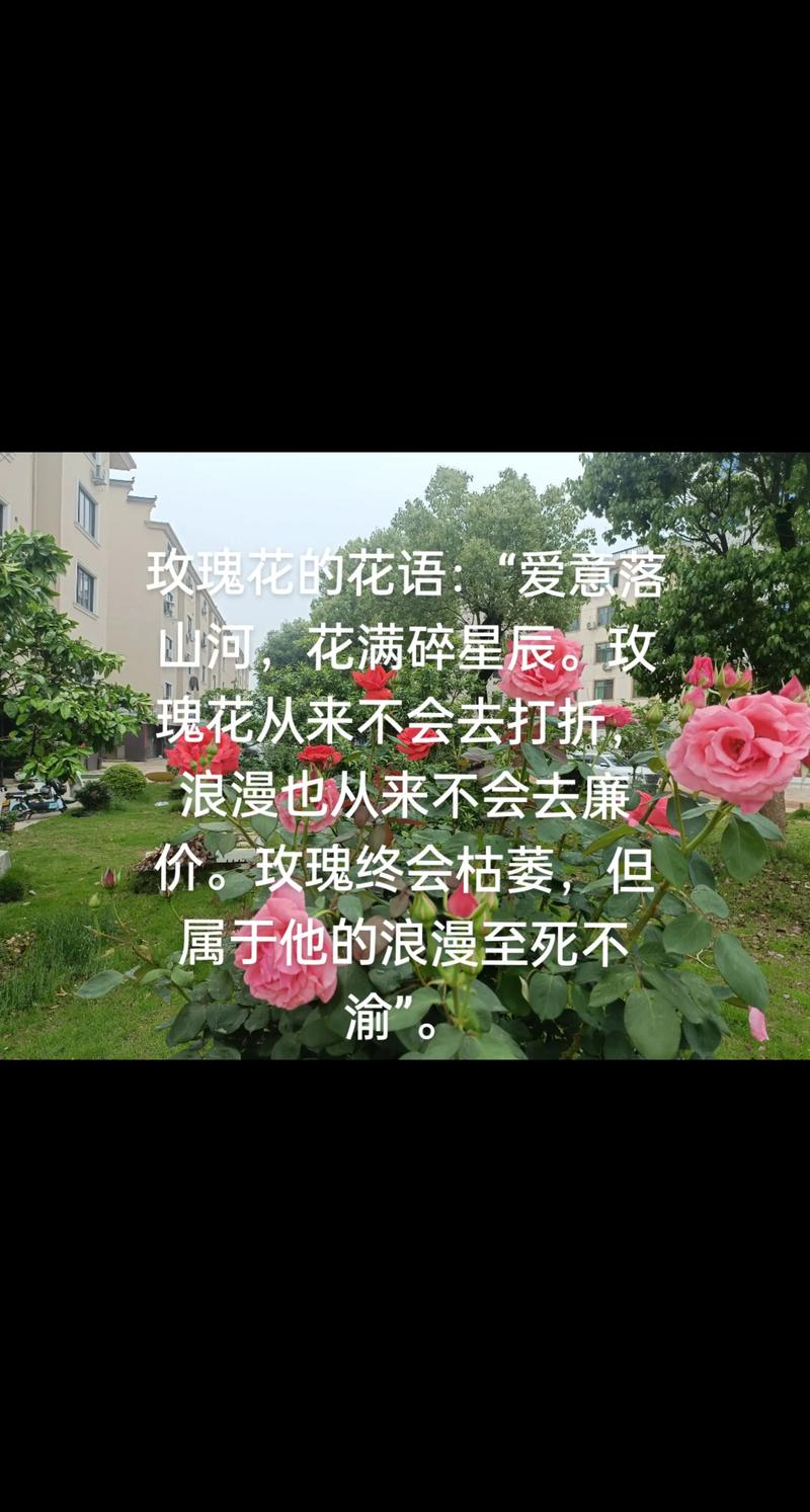 主流空间乐队_非主流qq空间_热门qq空间