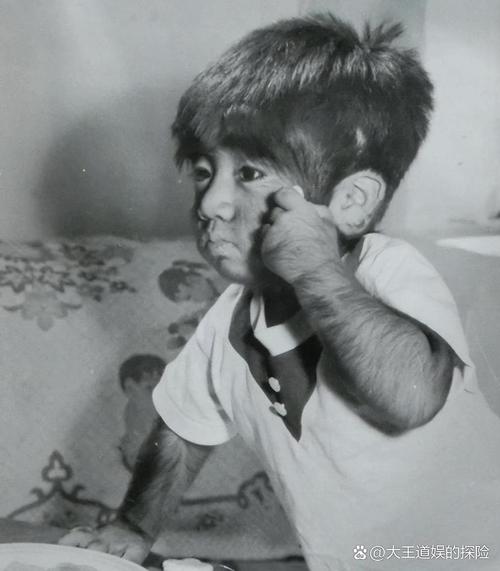 小毛孩夺宝奇缘_电视剧夺宝奇缘_夺宝奇缘的演员