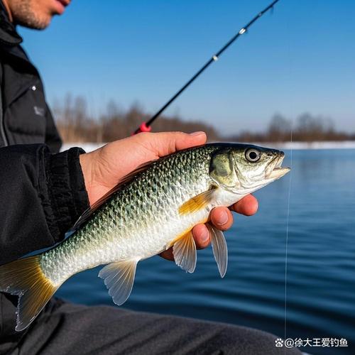 情缘卡盟避坑指南：别被低价钓鱼，学会看门道
